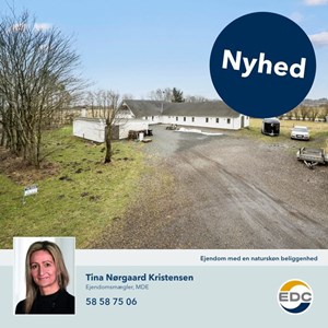 Opslagsbillede