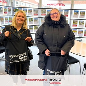 Opslagsbillede