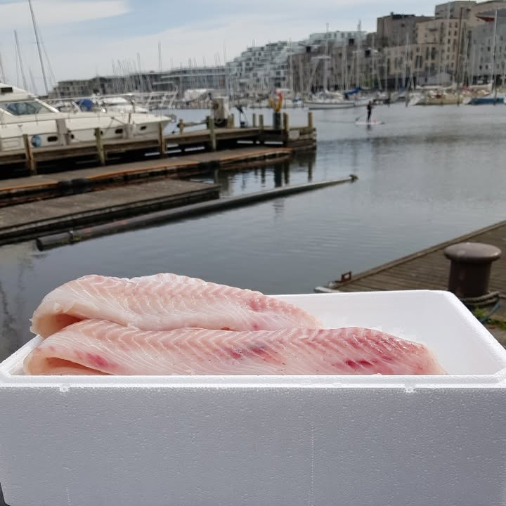 SuperBrugsen Hammerum tilbyder ja tak på fisk og delikatesser