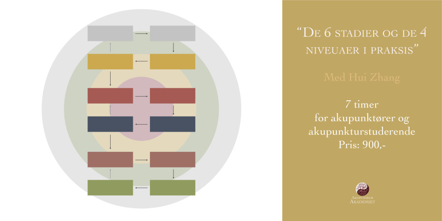 Forstå de 6 stadier og de 4 niveauer i akupunktur