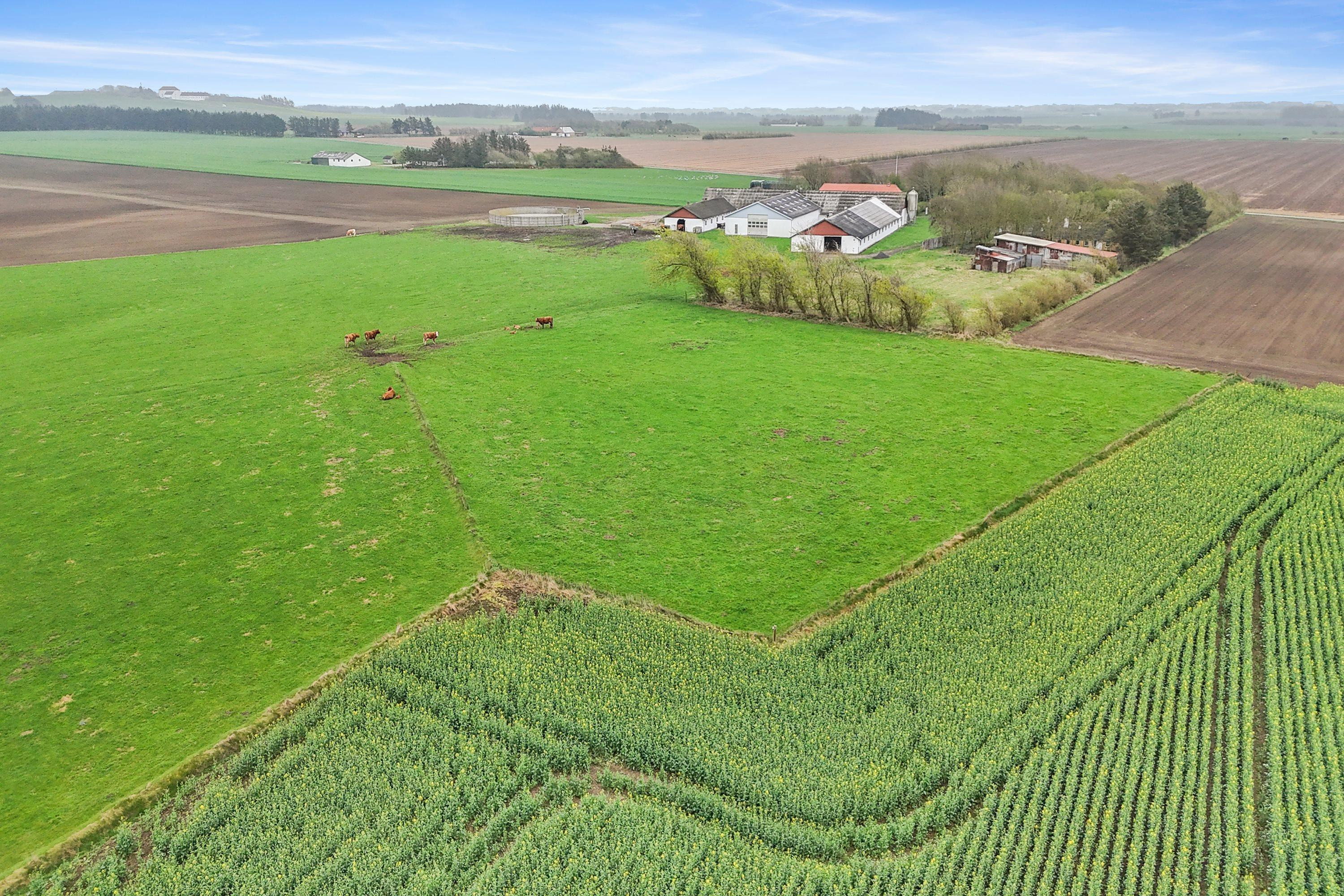 Renoveringsprojekt med naturskøn beliggenhed nær Løkken