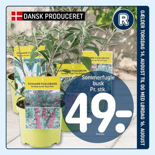 Weekendtilbud hos REMA 1000 Halgårdvej: Gør dig ekstra klar til weekenden