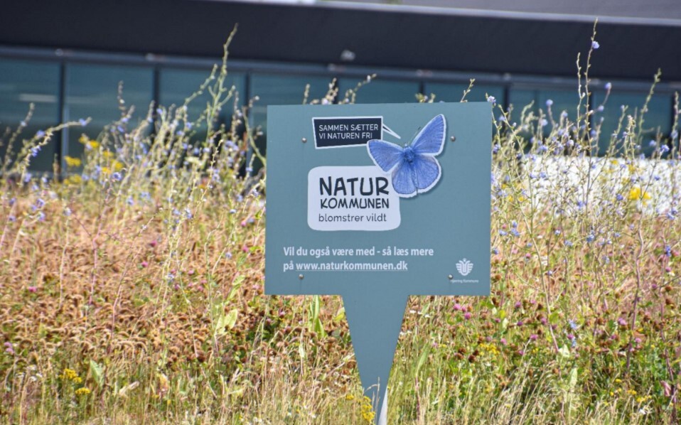 Natur Kommunen – det er bare for vildt