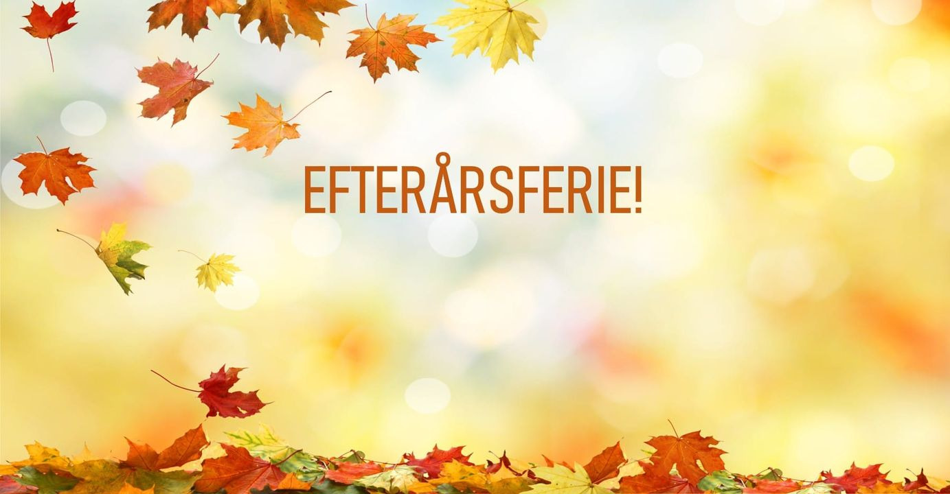 Stephanie bestod hos Sands Køreskole før ferien