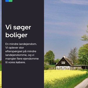 Opslagsbillede