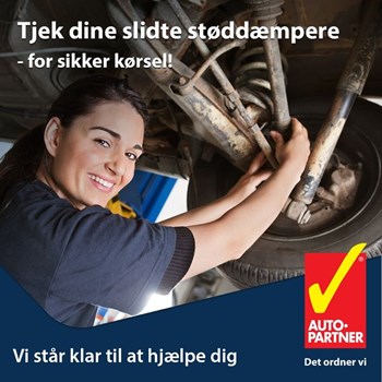 Opslagsbillede