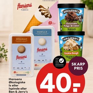 Opslagsbillede