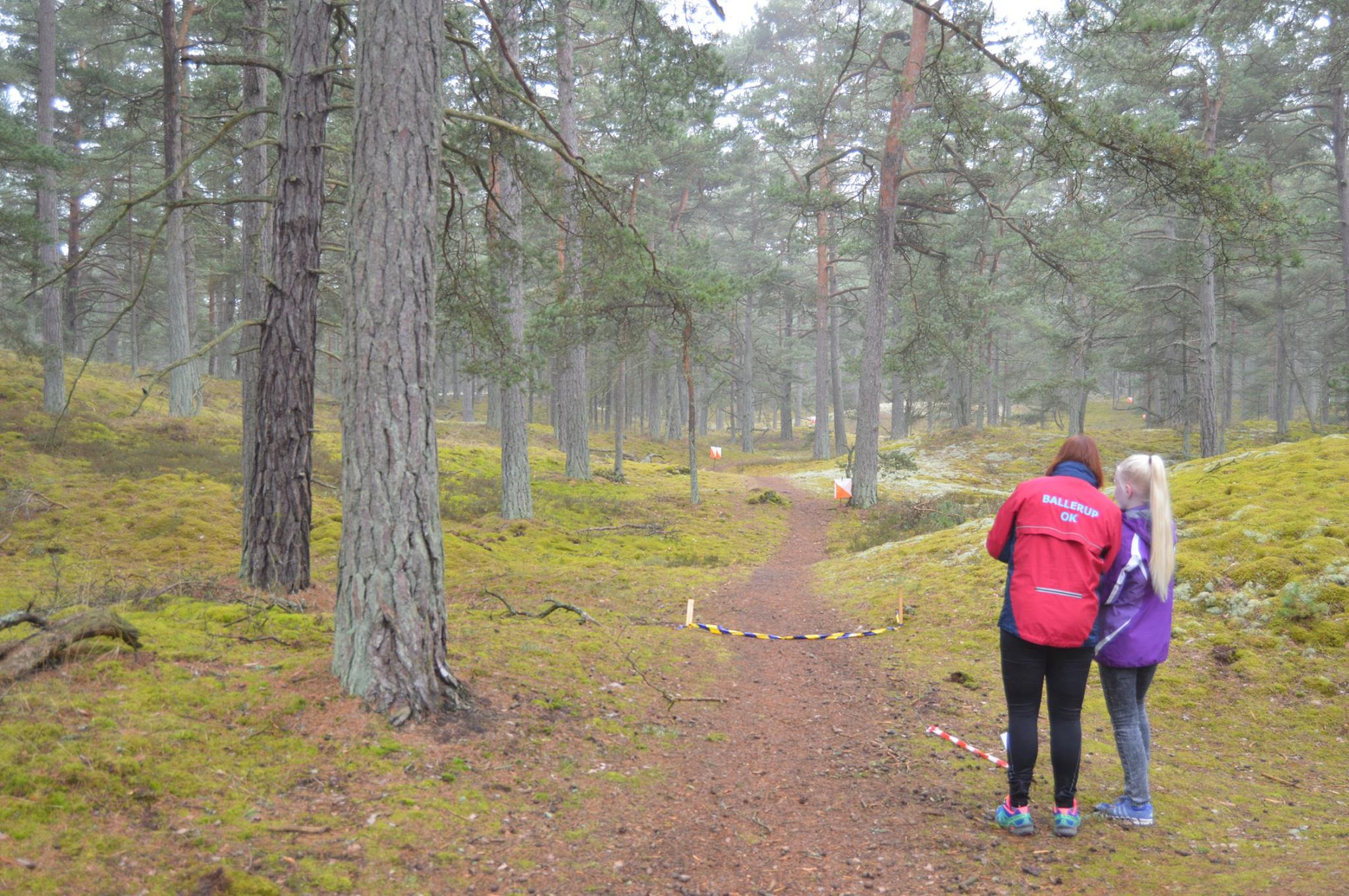 PræO sprint i Silkeborg: En dag med orienteringsløb for alle