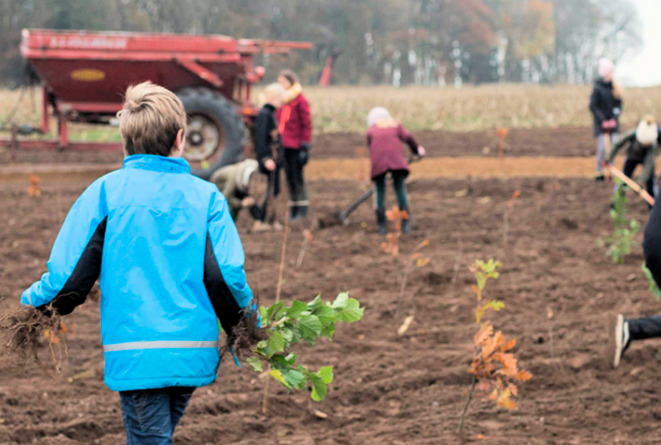 Møllehøjskolens SFO planter nye træer i Lindholm Skov