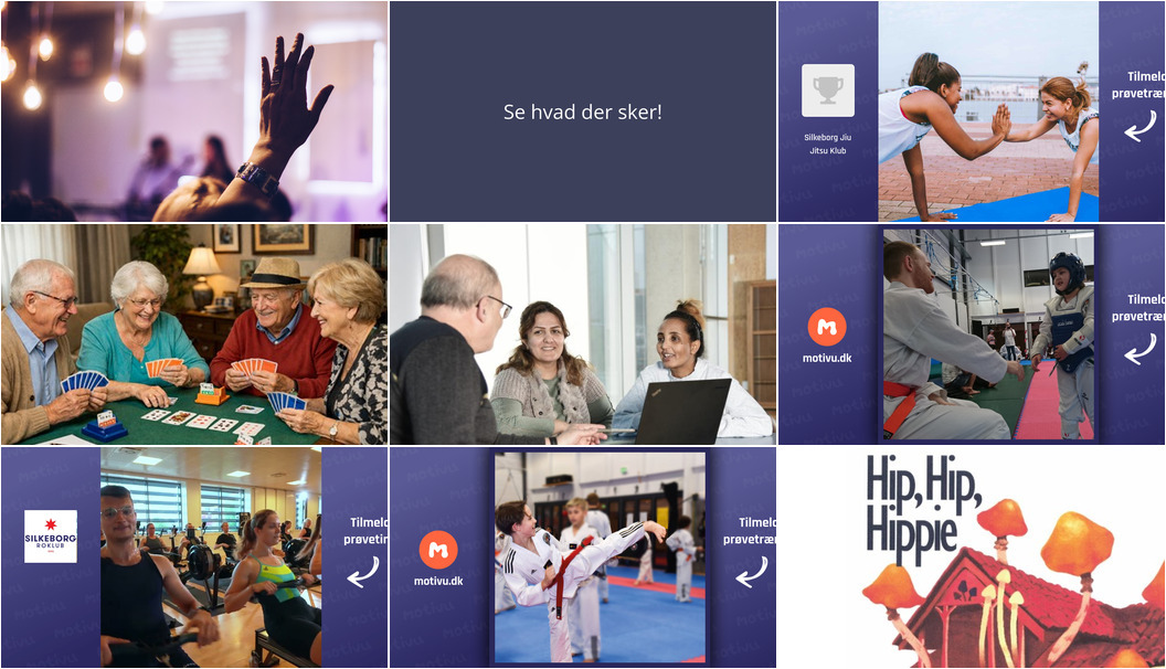 Ugen i Silkeborg: Foredrag om ørneliv, fitnesstræning møder jiu-jitsu og teaterfarce på Silkeborg Ny Teater