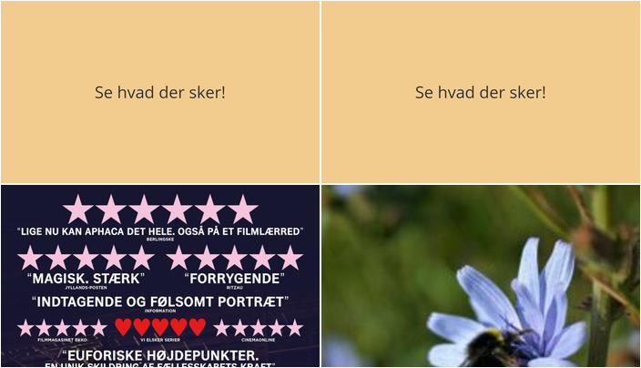 Fra Musikalsk Dokumentar til Naturoplevelser: Rudkøbing byder på mangfoldige begivenheder