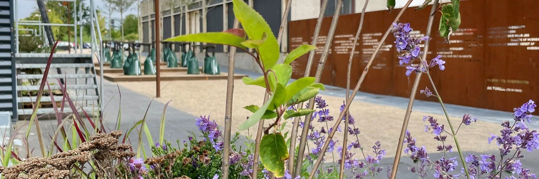 Festlig indvielse af nyt torv og Delehuset NC10 i Vejle med taler, musik og aktiviteter for hele familien