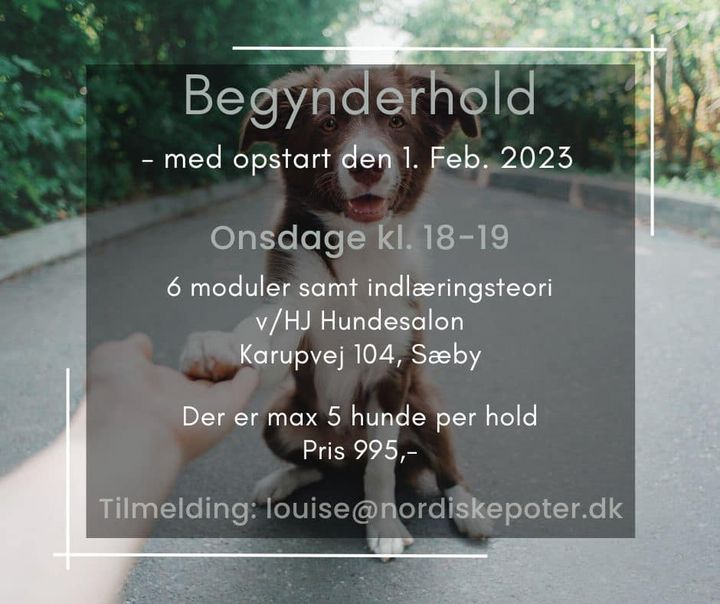 Hold trit med lokalområdet: Nyt fra Sæby