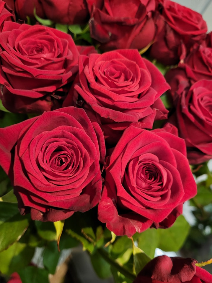 Asmild Plantecenter ApS hjælper dig med blomst til mors dag