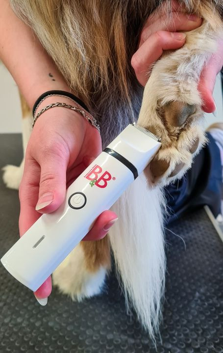 En finger på pulsen i Sæby