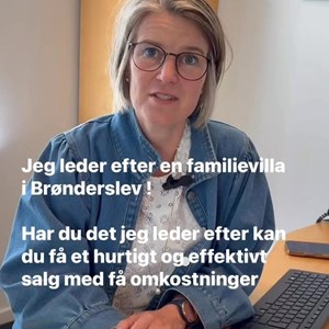 Opslagsbillede