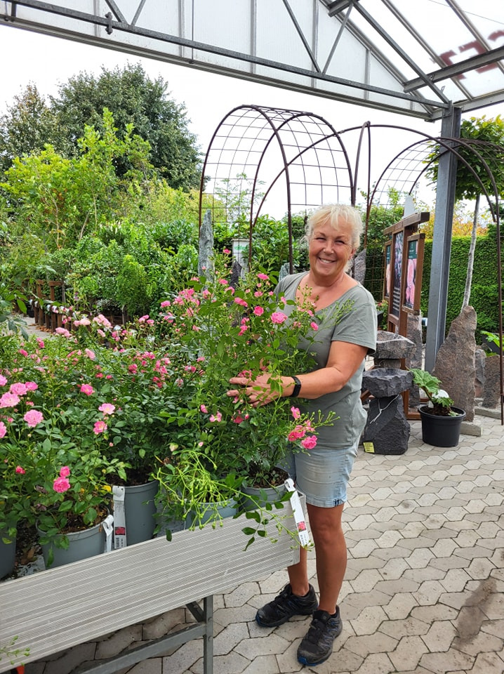 Opslagstavlen: Nyeste opdateringer fra Viborg