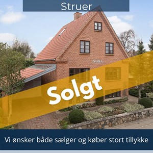Opslagsbillede