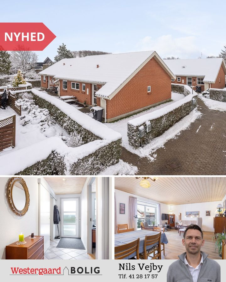 Hold trit med lokalområdet: Nyt fra Brønderslev