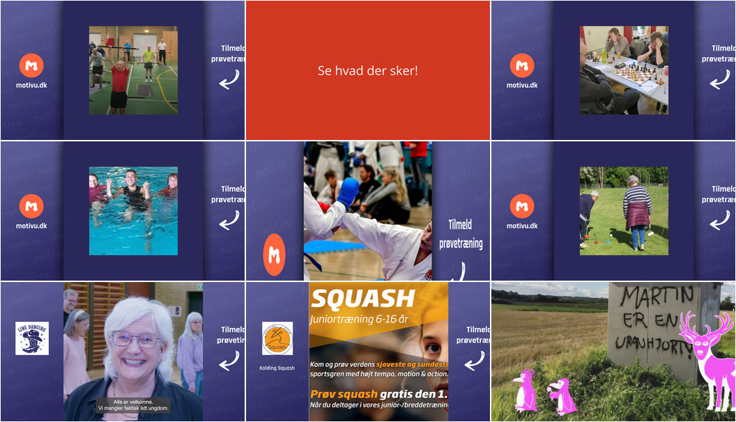 Aktiviteter og oplevelser i Kolding i den kommende uge