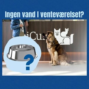 Opslagsbillede