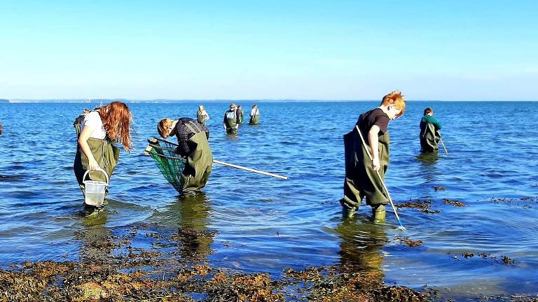 Lærere bliver til Havguides i unikt havmiljøudannelsesprojekt på Langeland