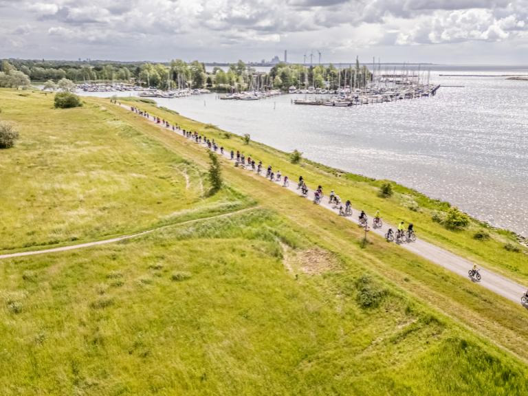 Naturskønne oplevelser i Vallensbæk: strand, skov og cykelruter for hele familien