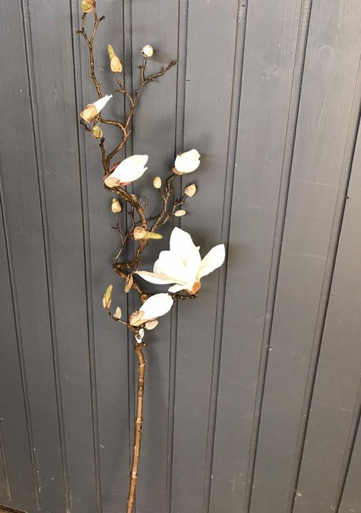 Opslagstavlen: Nyeste opdateringer fra Skive