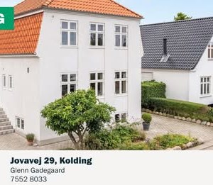 Opslagsbillede