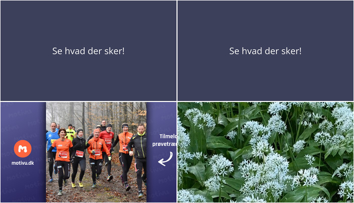 Oplev Kirke Hyllinge denne weekend: Aktivitet og opdagelser for alle