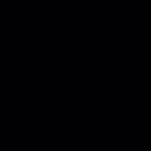 Opslagsbillede