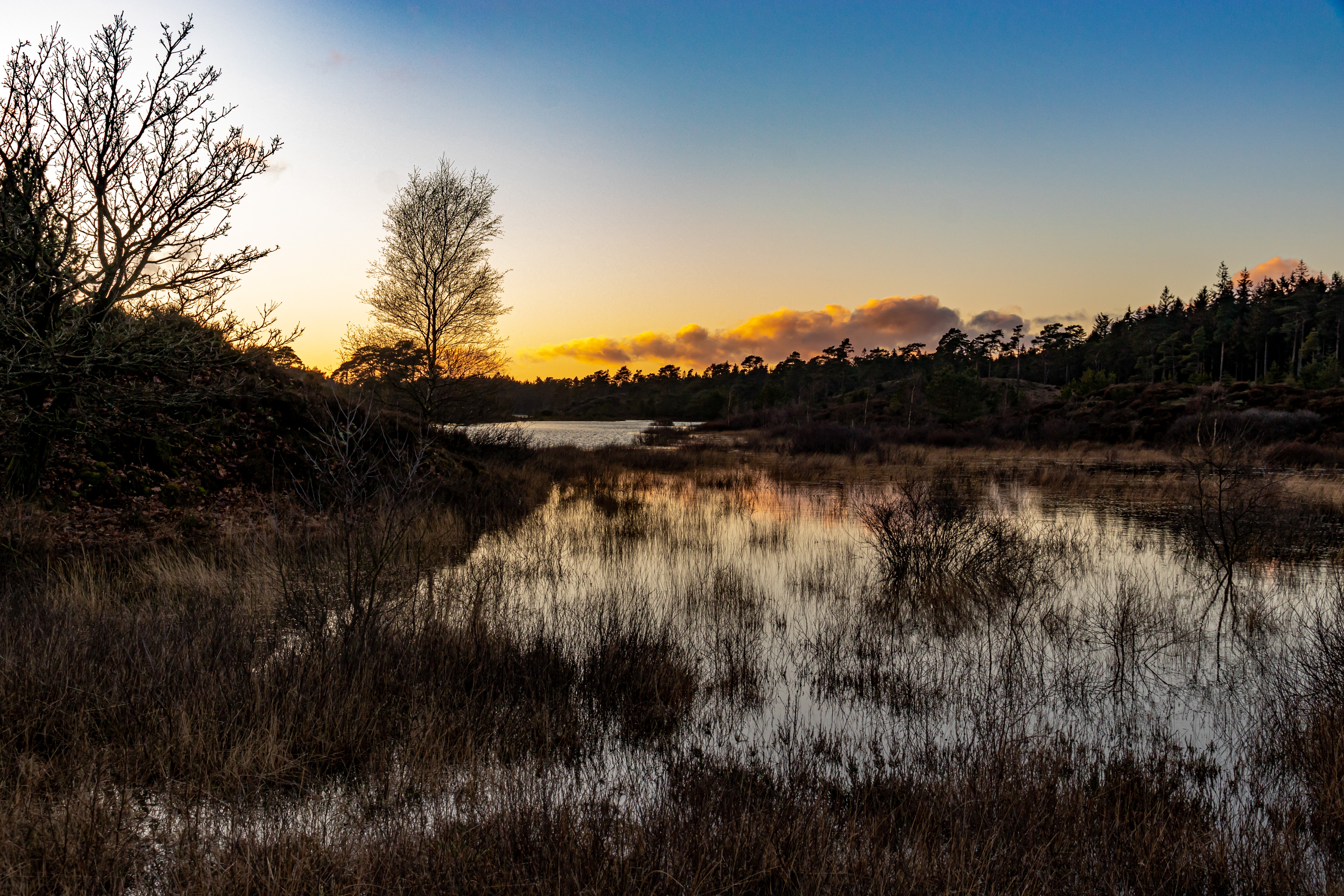 Inspiration til spændende arrangementer i Randbøl