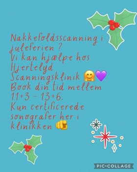 Opslagsbillede