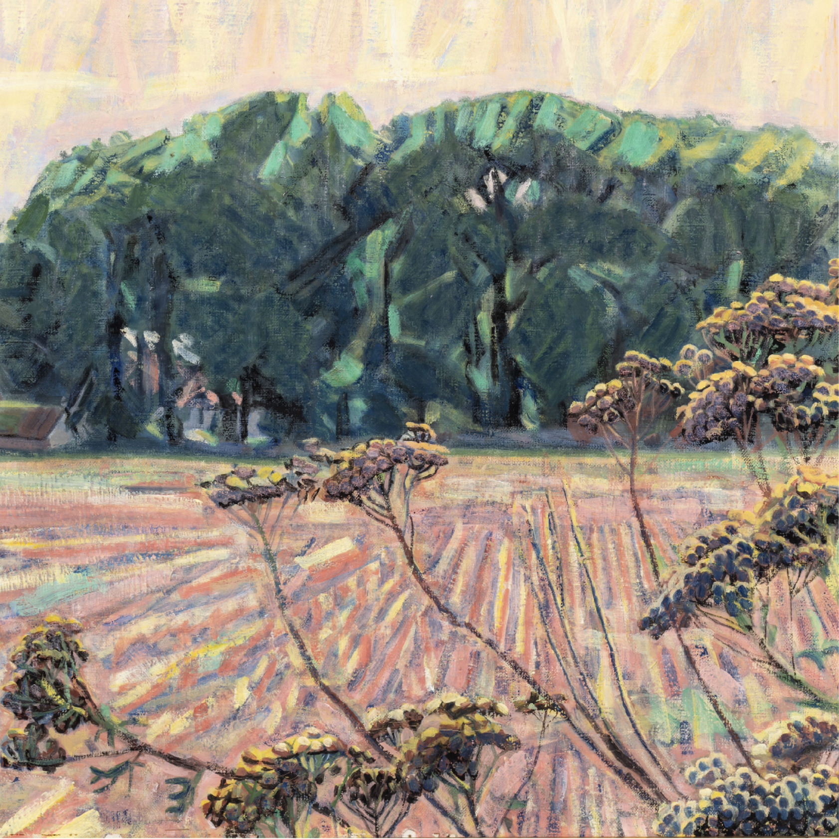 Niels Larsen Stevns og lysets magi på Vendsyssel Kunstmuseum