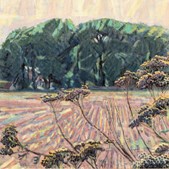 Oplev Niels Larsen Stevns' lys i landskabsmalerier