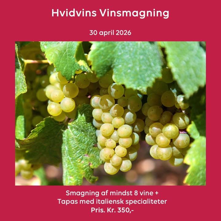 Lahvino Wine & Spirits inviterer til hvidvinssmagning med italienske specialiteter den 30. april