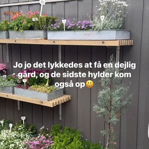 Opslagsbillede