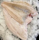 Hanstholm Auction Buyer præsenterer friske sommerpriser: Ugens rødspætte til 129 kr.