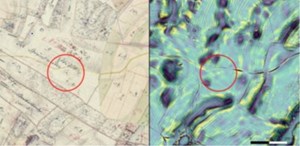 Udforsk gamle kort og fortidsminder i Mols Bjerge
