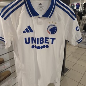 Opslagsbillede