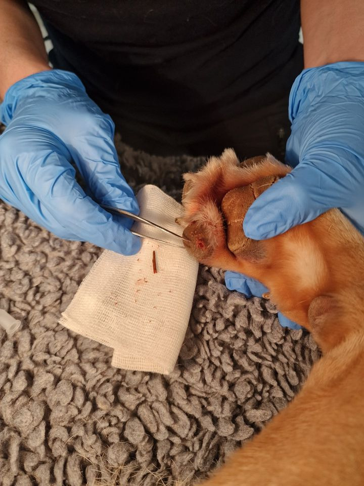 Nyt på opslagstavlen i Brønderslev