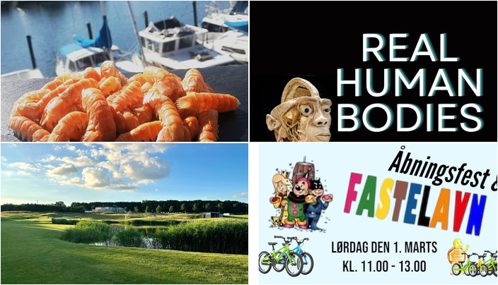 Nyt fra Frændes Madværk, StensballeGaard Golfklub, Horsens Cykler og 1 anden