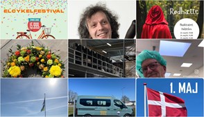 Nyt fra Herning Løve Apotek, Lagersalg.com, Autogaarden Herning og 10 andre