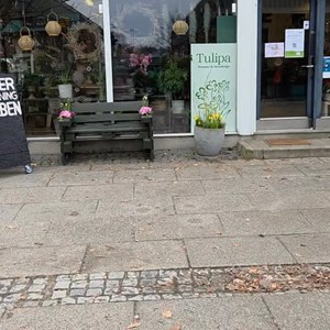 Opslagsbillede