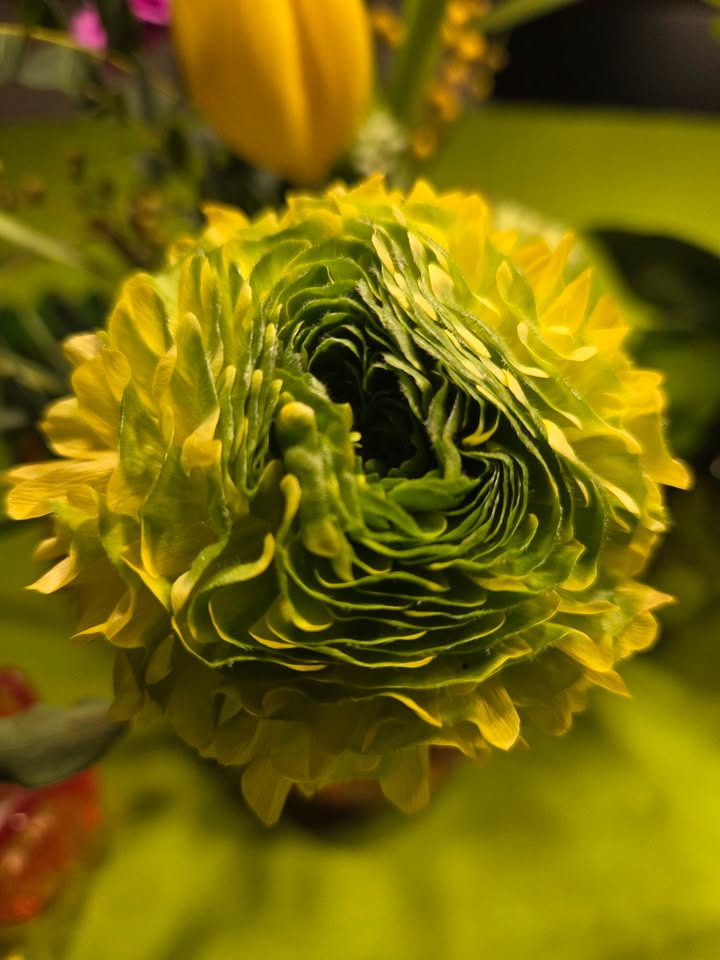 Flore Vida genopfylder: Nye buketter tilgængelige i selvbetjeningen i dag