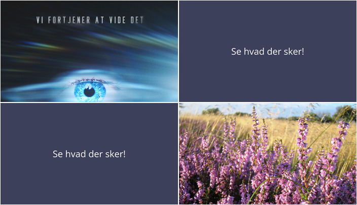 Spændende weekend i Grenaa: Biografpremiere og fiskemesterskab