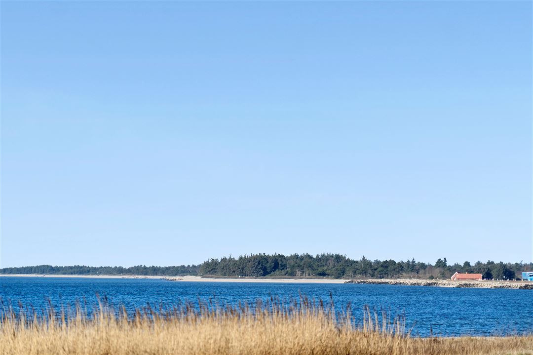 Til salg hos EDC Ejen­doms­grup­pen  Struer : Fred og ro ved Limfjorden