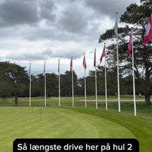 Opslagsbillede