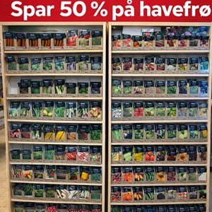 Opslagsbillede