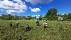 En kærlig hånd til naturen i Storelung og Skånemosen